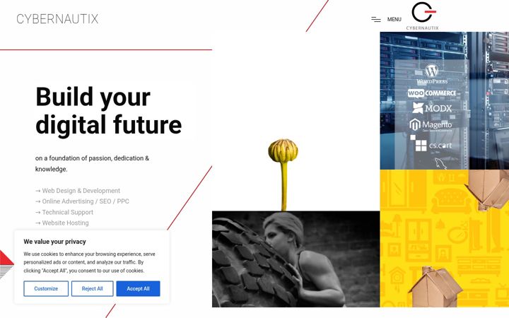 Captura de pantalla de cybernautix.co.uk