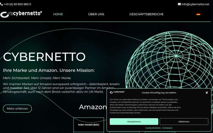 Screenshot of cybernetto.net