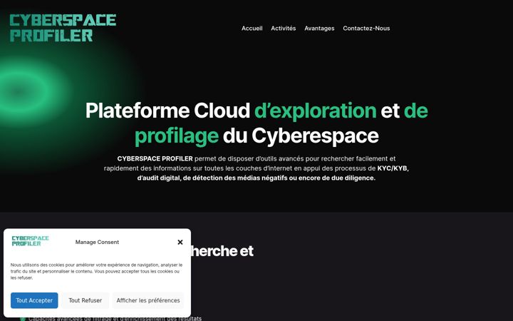 Screenshot of cyberspaceprofiler.com