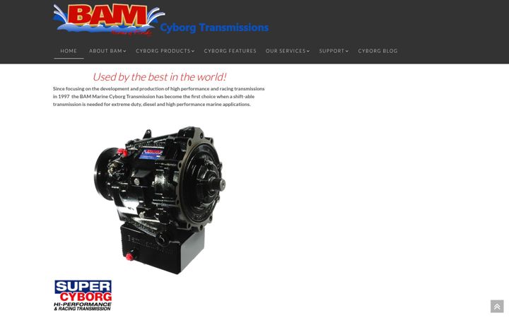 Screenshot of cyborgtransmissions.com