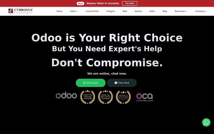 Screenshot of cybrosys.com
