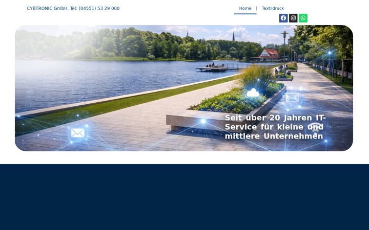 Screenshot of cybtronic.de