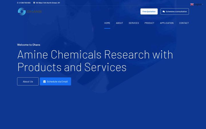 Screenshot di cyclohexylamine.net