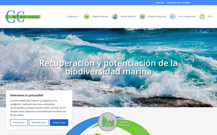 Screenshot of cycmedioambiente.com