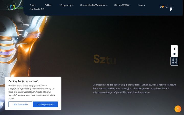Screenshot of cyfrowieksperci.eu