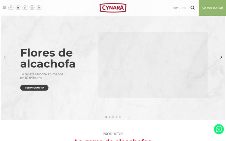 Screenshot of cynara.net
