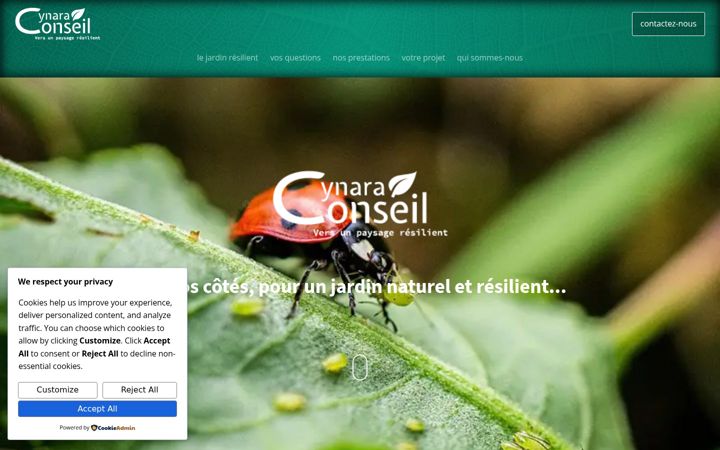 Screenshot of cynaraconseil.fr