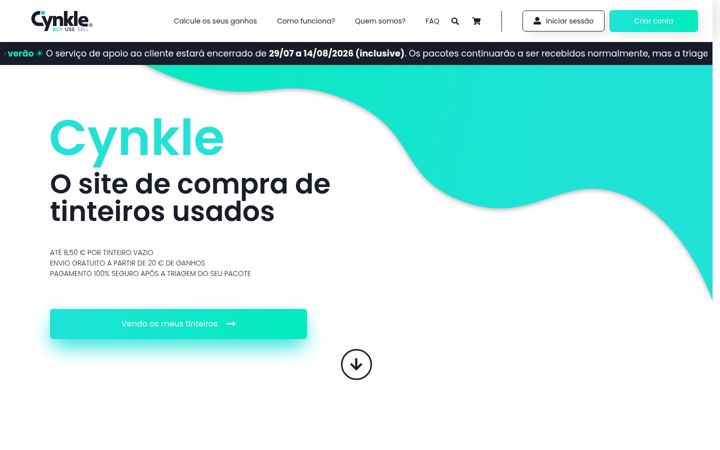 Screenshot of cynkle.pt