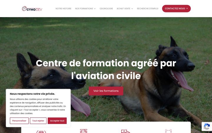 Screenshot van cyno-dev.fr