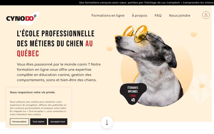 Screenshot of cynodo.com