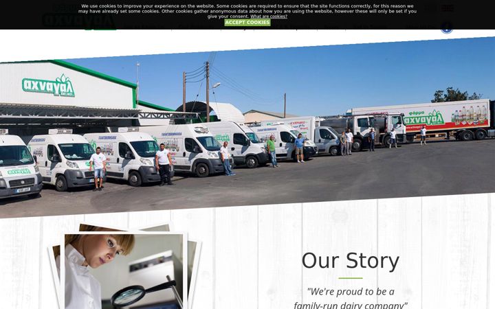 Screenshot of cypriotahalloumi.com