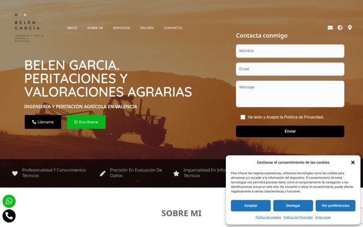 Screenshot of cys-belengarciaperitoagrario.com