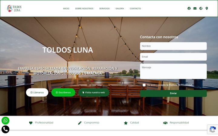 Screenshot of cys-toldosluna.com