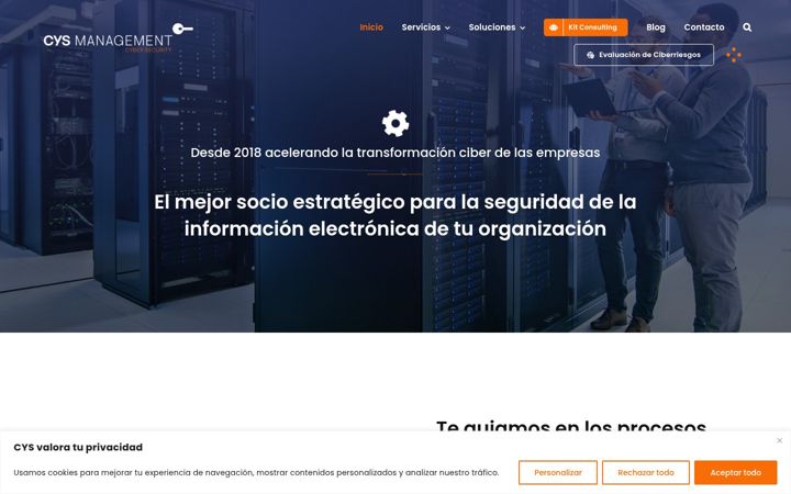 Screenshot of cysmanagement.com