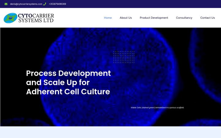 Screenshot of cytocarriersystems.com