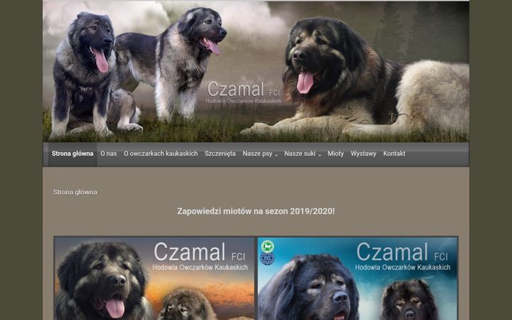 Screenshot of czamal.eu