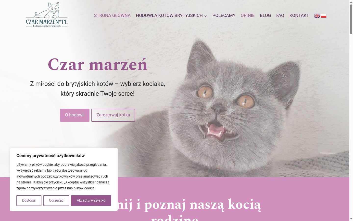 Ekrānuzņēmums ar piekrišanas baneri, kas tika rādīts pirms jebkādas mijiedarbības