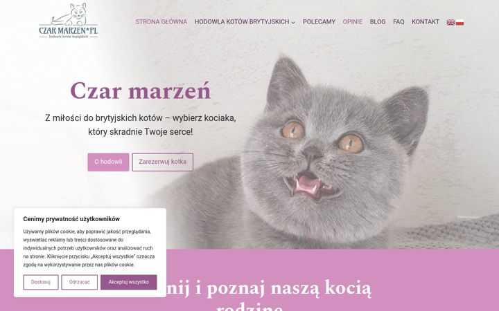 Screenshot of czarmarzen.eu