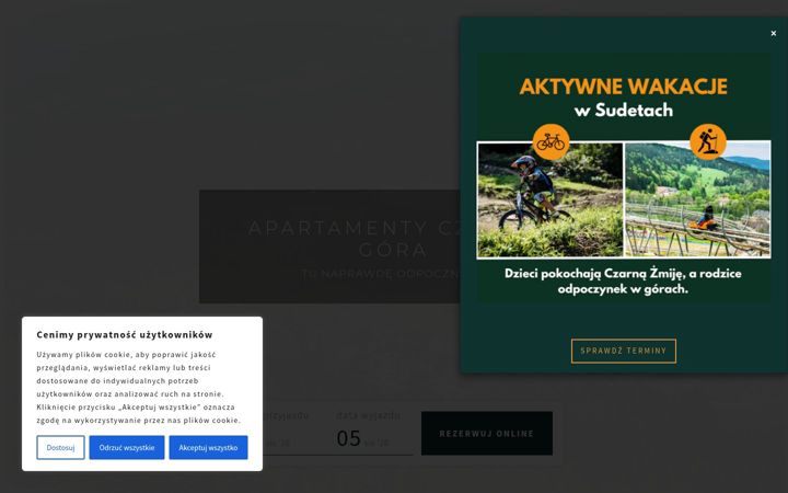 Screenshot of czarnagoraresort.com