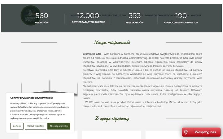 Capture d'écran de czarnieckagora.pl