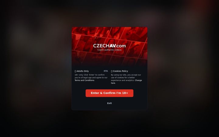 Screenshot of czechav.com