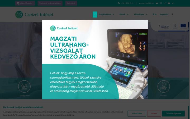 Screenshot von czeizelintezet.hu
