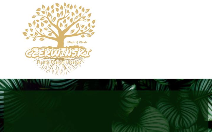 Screenshot of czerwinski-gartenservice.de
