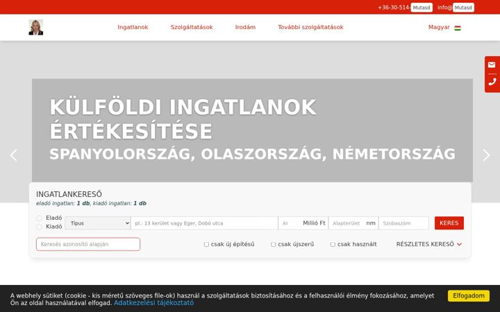 Screenshot of czinegeingatlan.hu