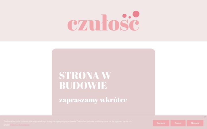 Screenshot of czuloscstudio.pl