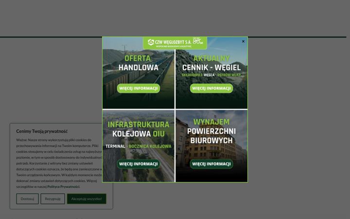 Ekrano kopija czw.com.pl