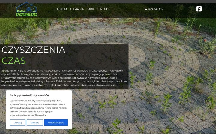 Captură de ecran a czyszczeniaczas.pl