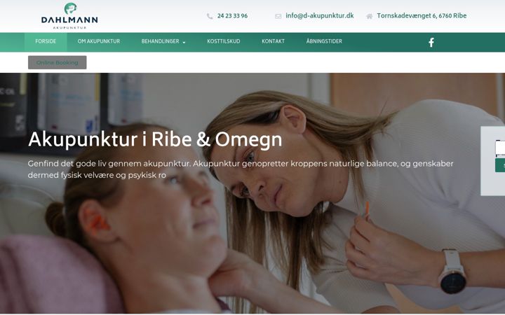 Screenshot di d-akupunktur.dk