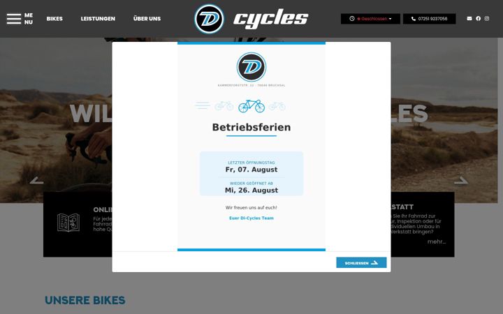 Screenshot of d-cycles.de