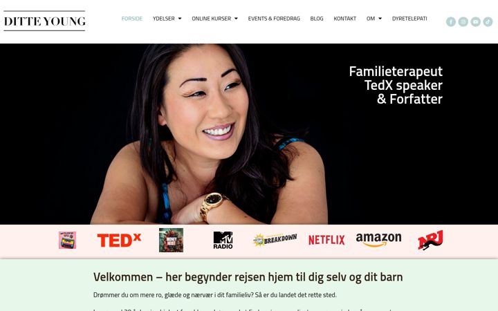 Screenshot von d-evelopment.dk