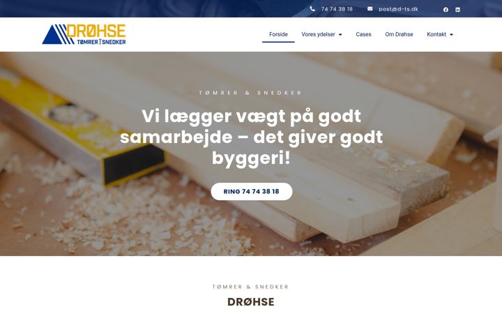 Screenshot of d-ts.dk