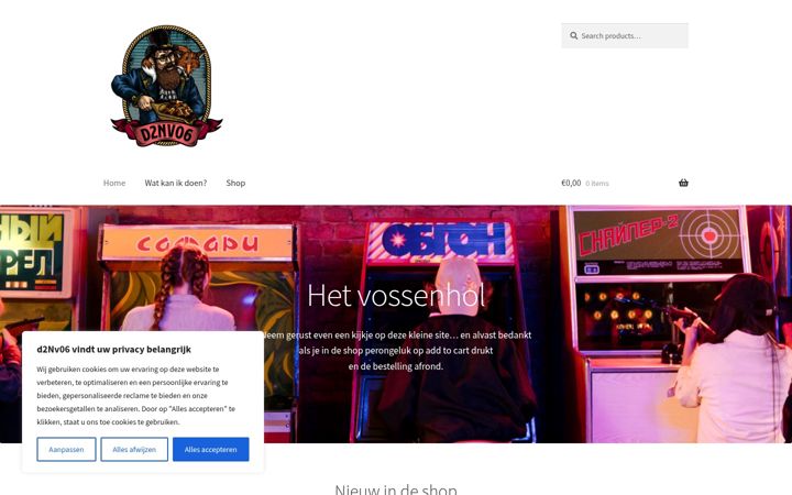 Screenshot of d2nv06.com