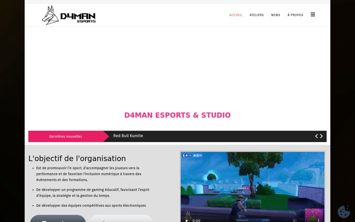 Screenshot of d4man.org