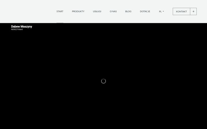 Screenshot of dabew.com.pl