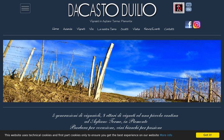 Screenshot of dacastoduilio.com