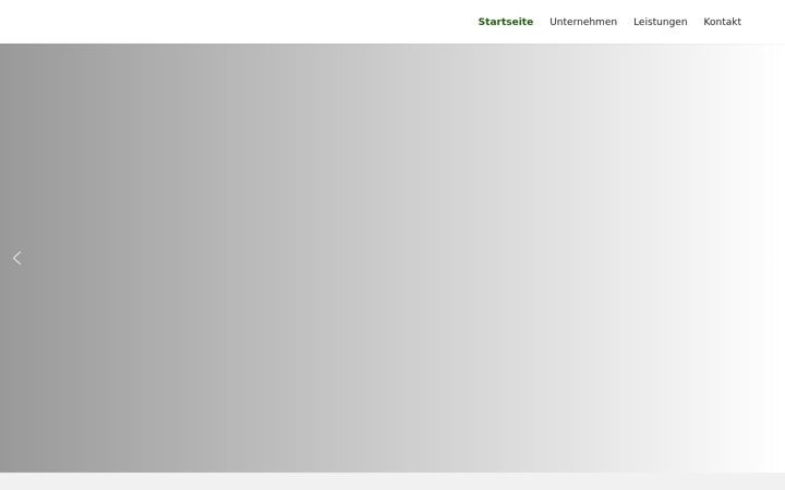 Screenshot of dachgieseler.de