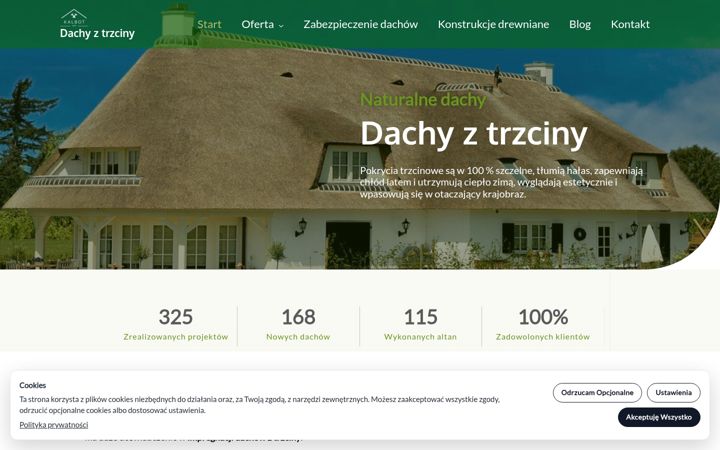 Screenshot ta' dachyztrzciny.pl
