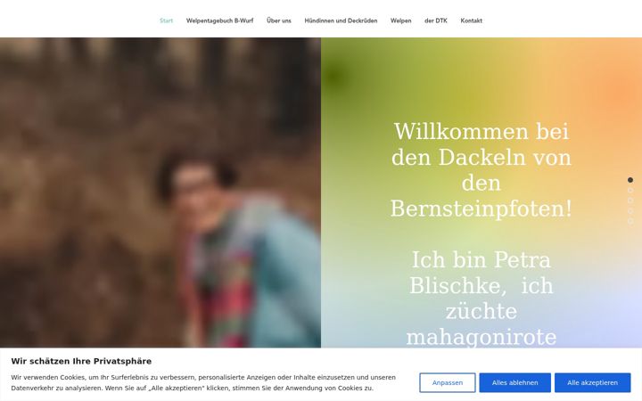 Screenshot of dackelvondenbernsteinpfoten.de