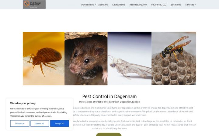 Skjermbilde av dagenhampestcontrol.co.uk