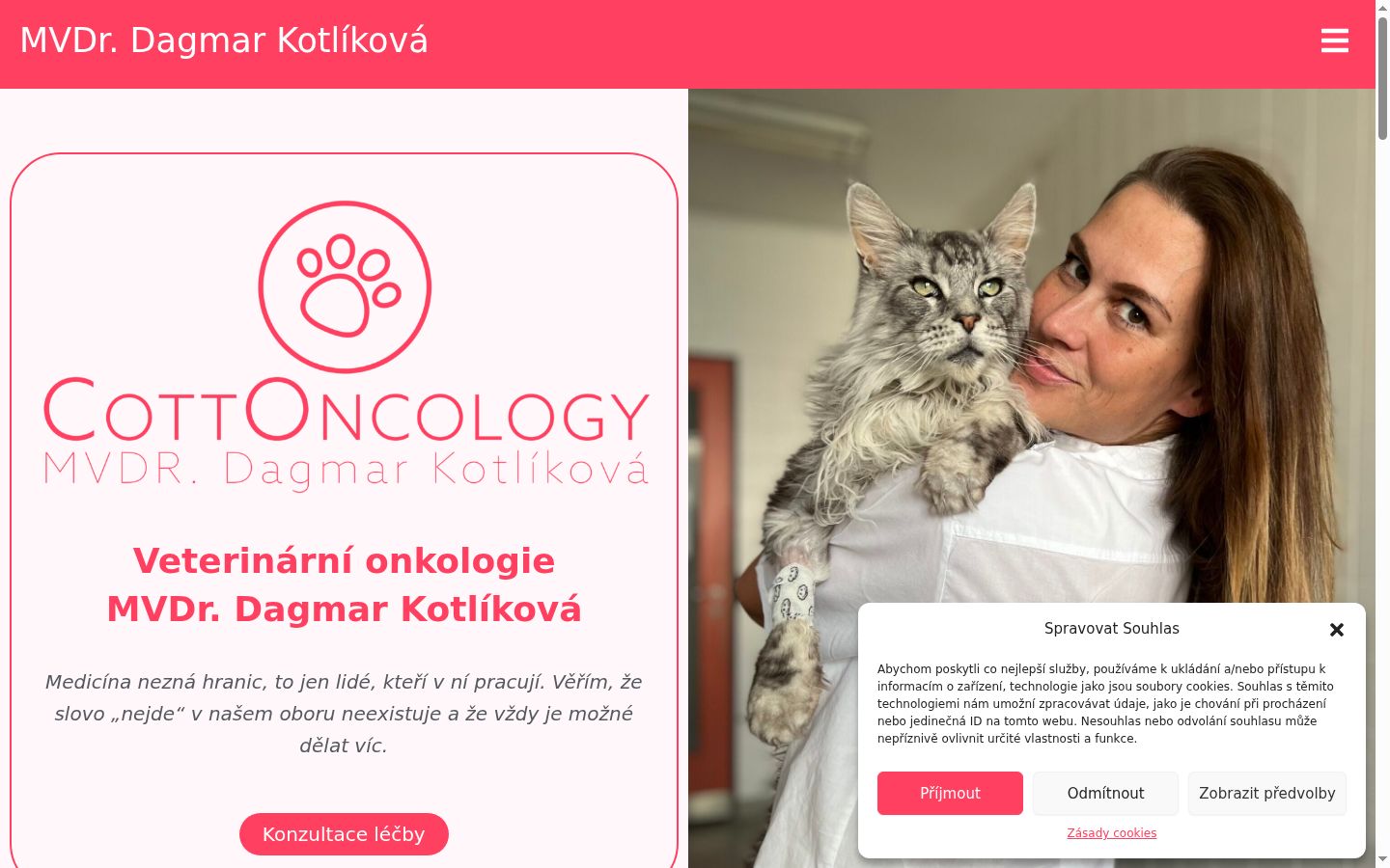 Screenshot van de toestemmingsbanner zoals getoond vóór enige interactie