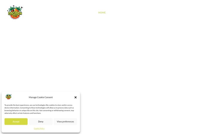Screenshot of dagron-tours.com