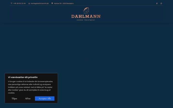 Capture d'écran de dahlmannht.dk