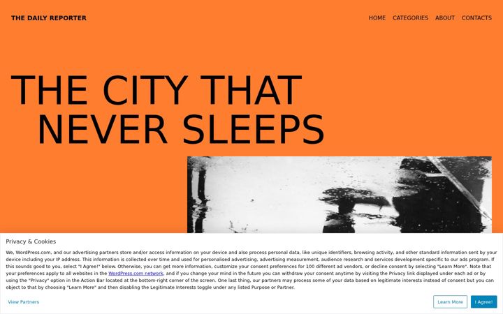 Screenshot of dailyreportermagazine.com