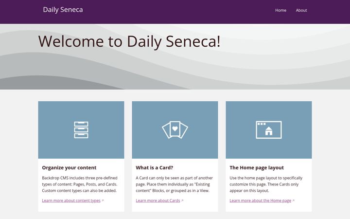 Screenshot of dailyseneca.com