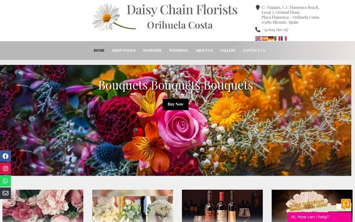 Screenshot of daisychainsl.com