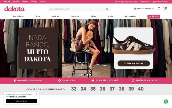 Screenshot ta' dakota.com.br